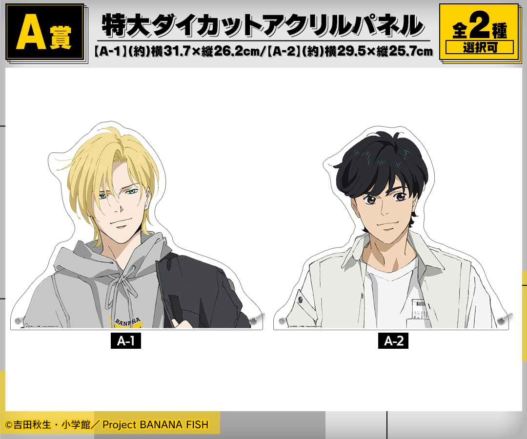 Pre-order] 