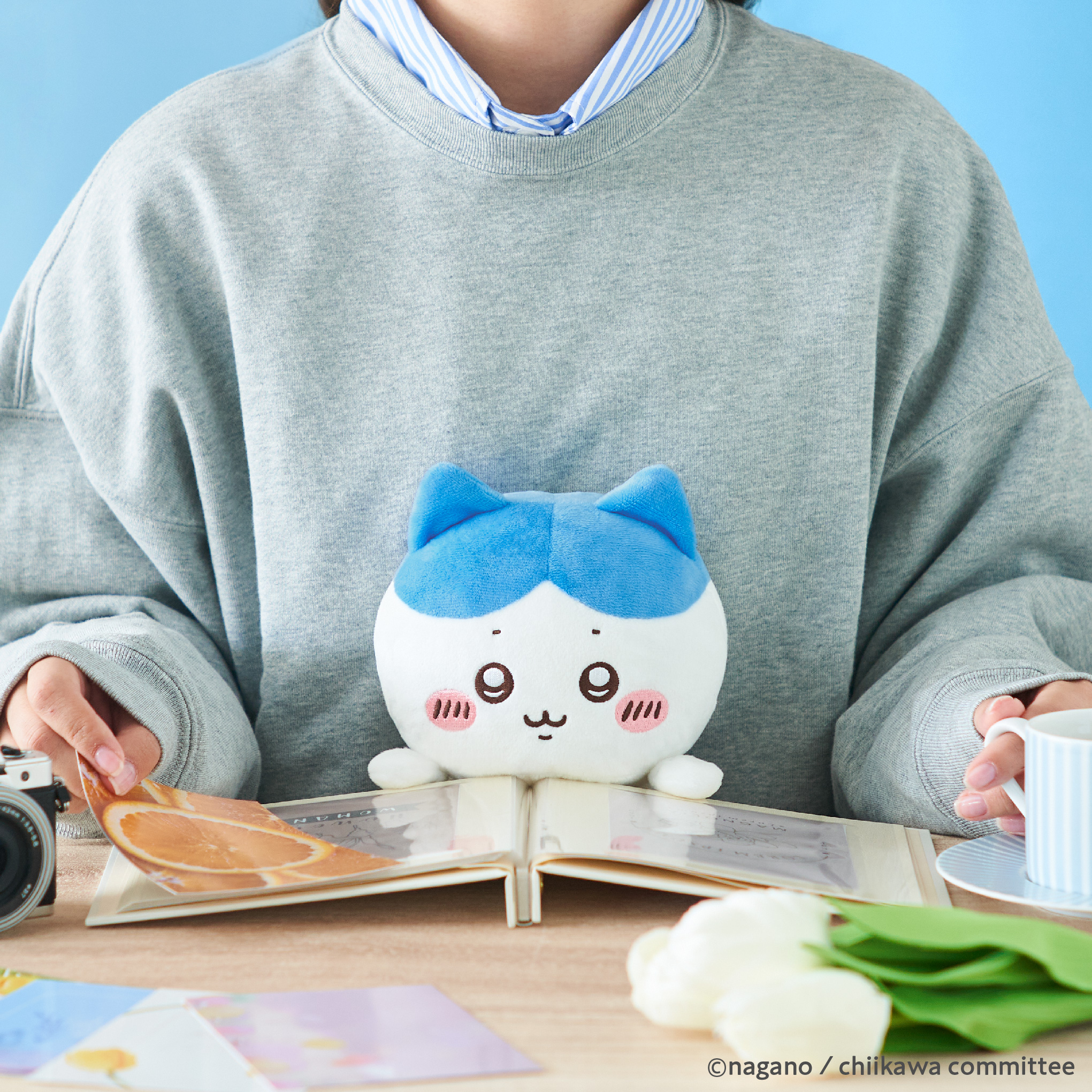 [Pre-order] "Chiikawa" Funbaruzu Chiikawa Plush - Hachiware