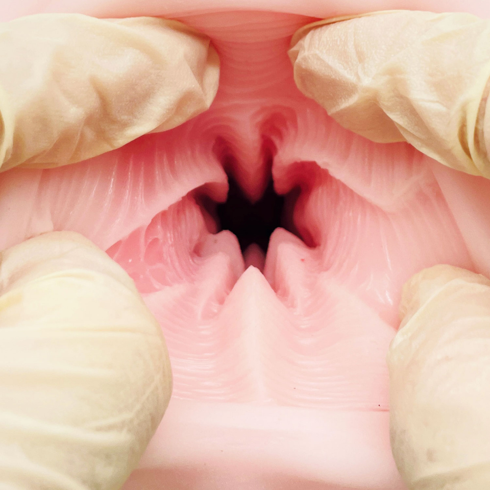 18+ [Pre-order] Onaholes - 23HAND (Two Three Hands)