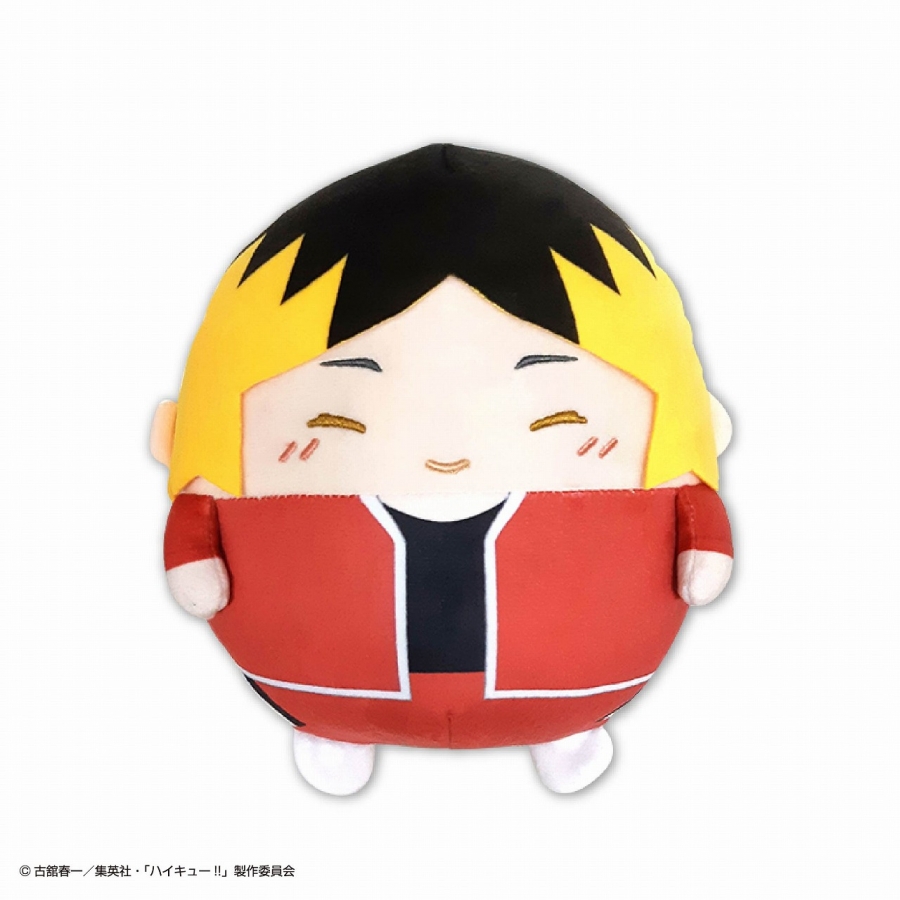 [Pre-order] "Haikyu!!" Fuwakororin Plush M size Special E: Kozume Polished