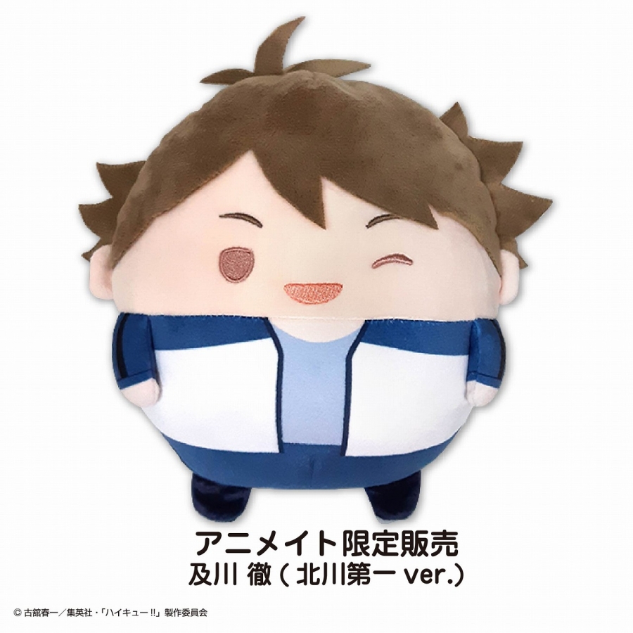 [Pre-order] "Haikyu!!" Fuwakororin Plush M size Special L: Toru Oikawa (Kitagawa Daiichi ver.) [Animate Limited]
