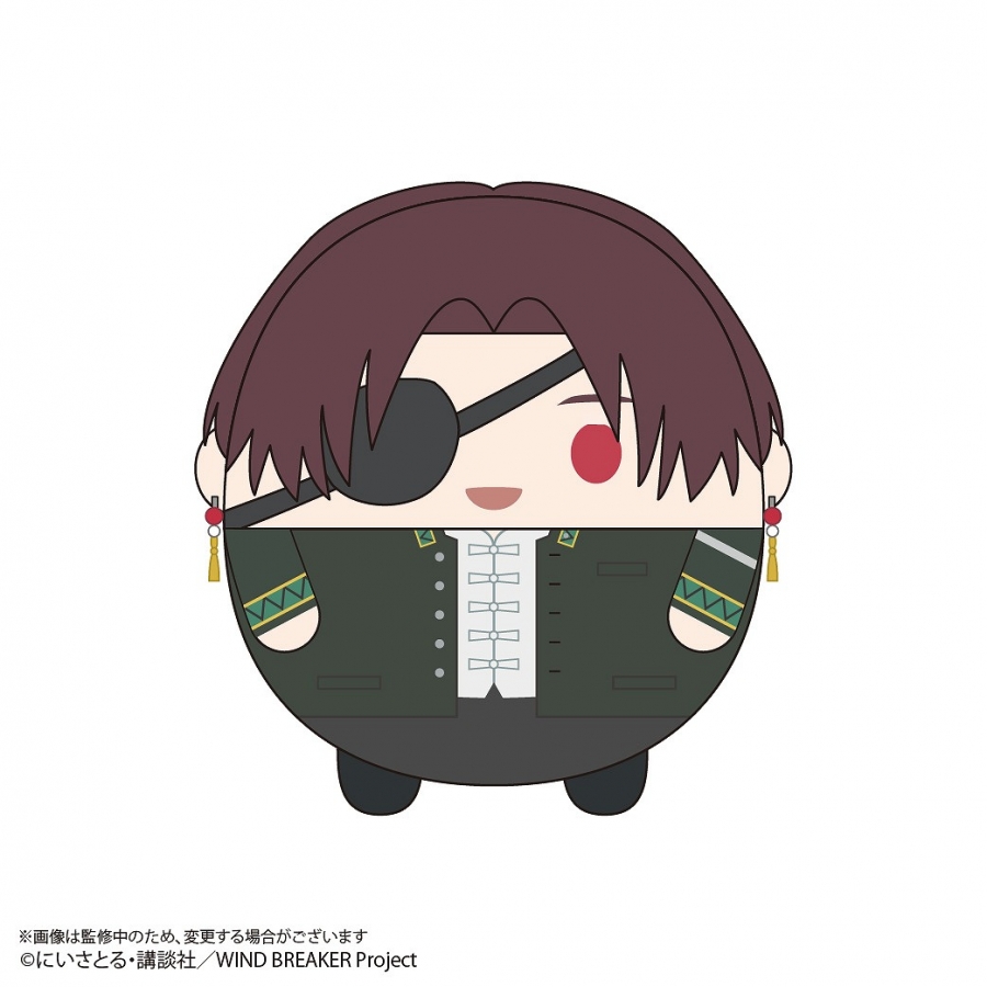 [Pre-order] "WIND BREAKER" Fuwakororin Plush M size C: Suho Junhi
