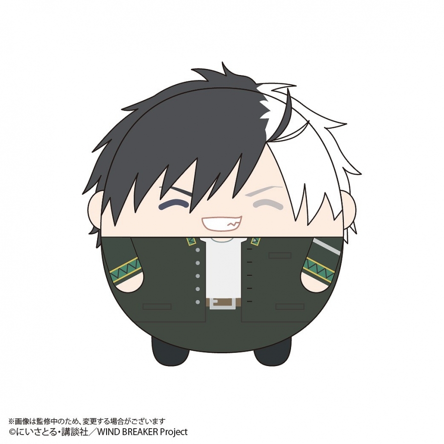 [Pre-order] "WIND BREAKER" Fuwakororin Plush M size G: Haruka Sakura (changed expression)