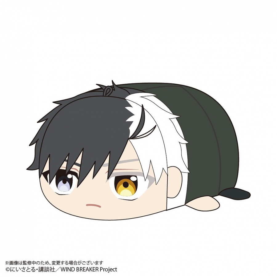 [Pre-order] "WIND BREAKER" Potekoro Mascot Plush M size A: Haruka Sakura