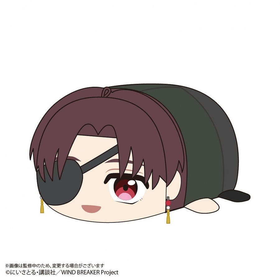 [Pre-order] "WIND BREAKER" Potekoro Mascot Plush M size C: Suho Junfei