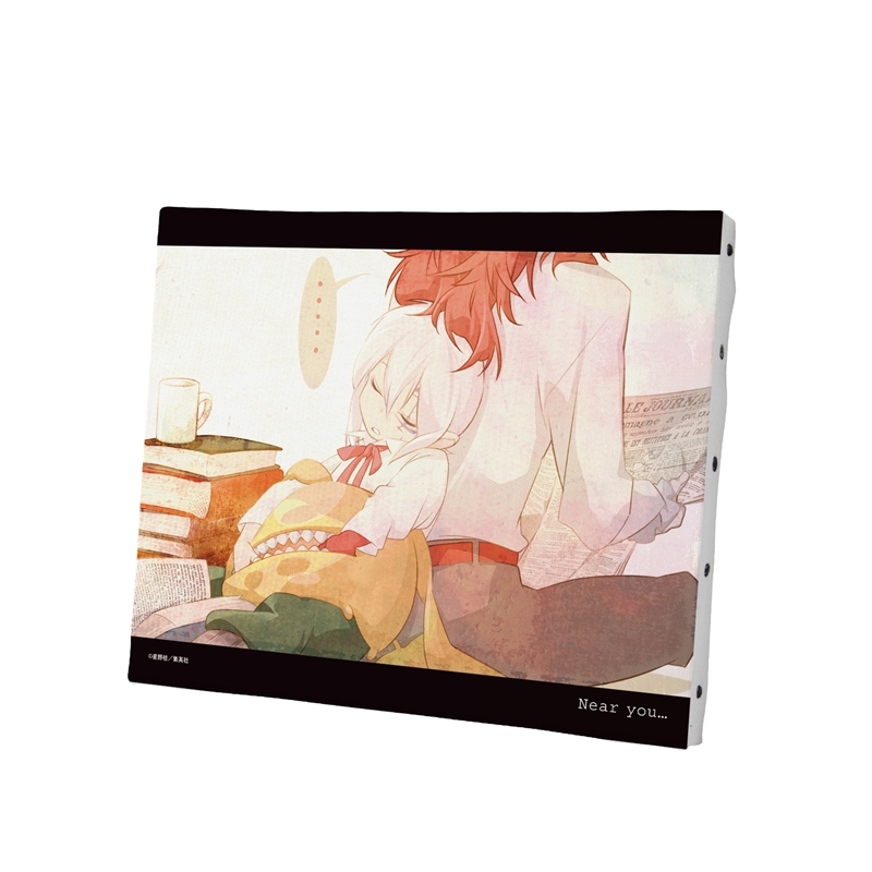 [Pre-order] "D.Gray-man" Comics Vol. 24 Color Illustration F3 Canvas Board