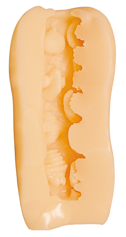 18+ [Pre-order] Onaholes - Kodakara Takuran Sodanjo THE HOLE