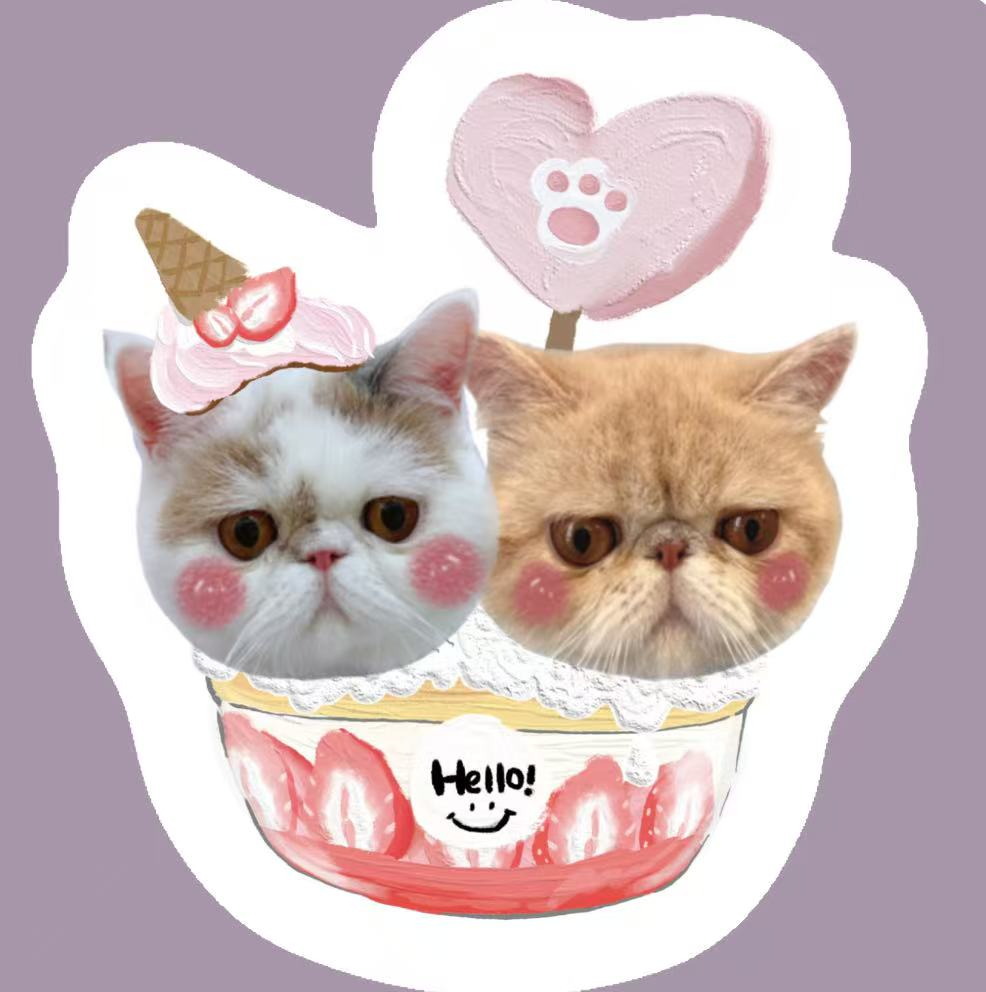 Personalized Unique Gift Idea Plush Pillow - Fun Animal Character Pillow for Cat Lovers & Friends - CustomFacePajamas