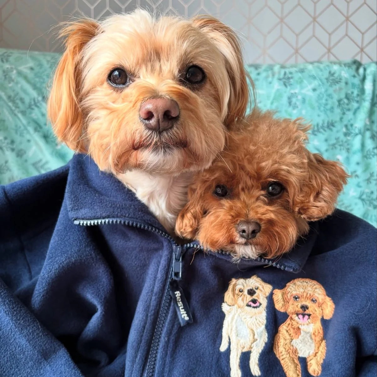New Embroidered Pet Portrait Polar Fleece Quarter Zip Jacket