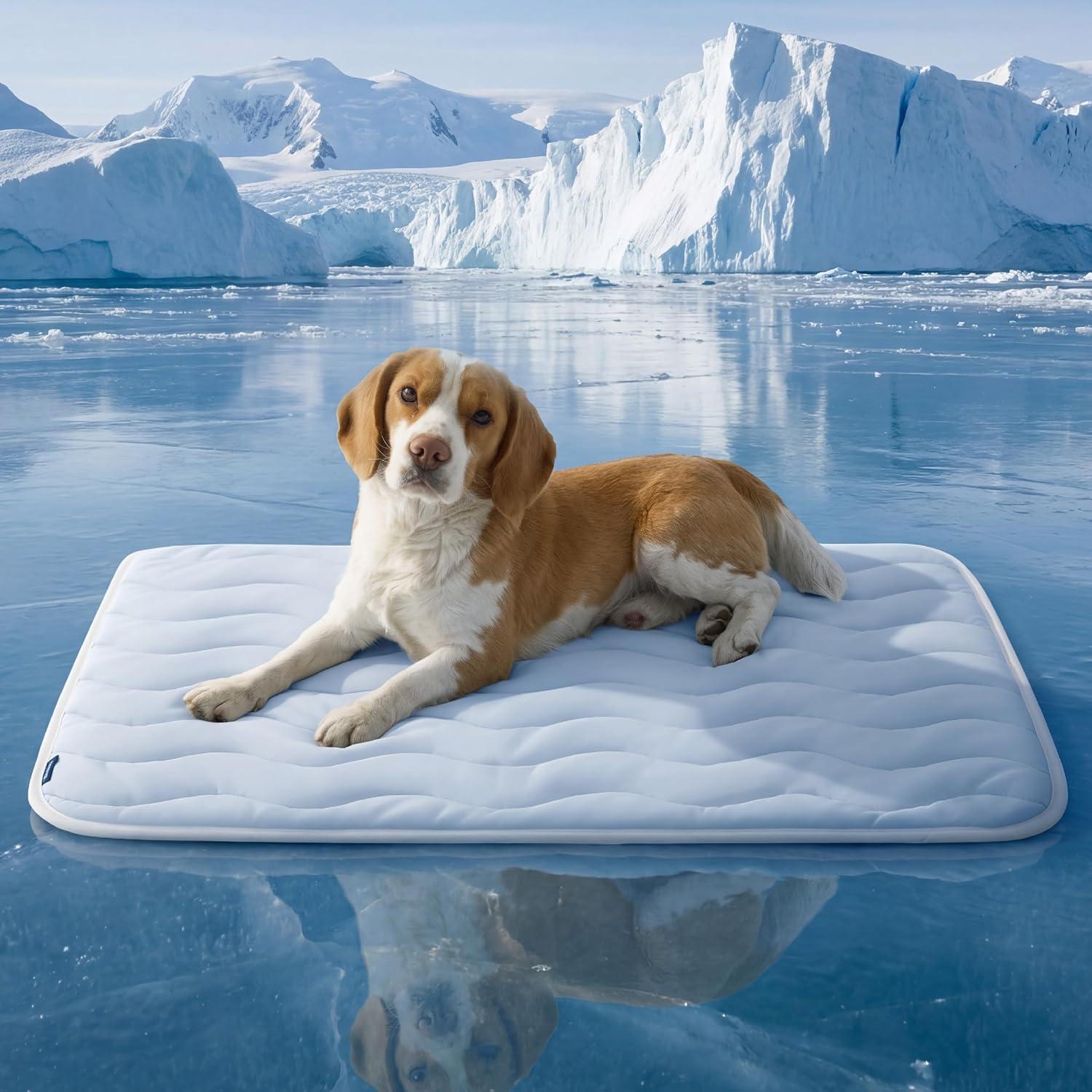 Bedsure Cooling Mat for Large Dogs - Q-Max>0.4 Thin Breathable Cooling Crate Pad Indoor for Pet with Chill Cool Fiber as Cooling Topper,Portable Washable Kennel Mat in Outdoor Summer, 35x23, Blue