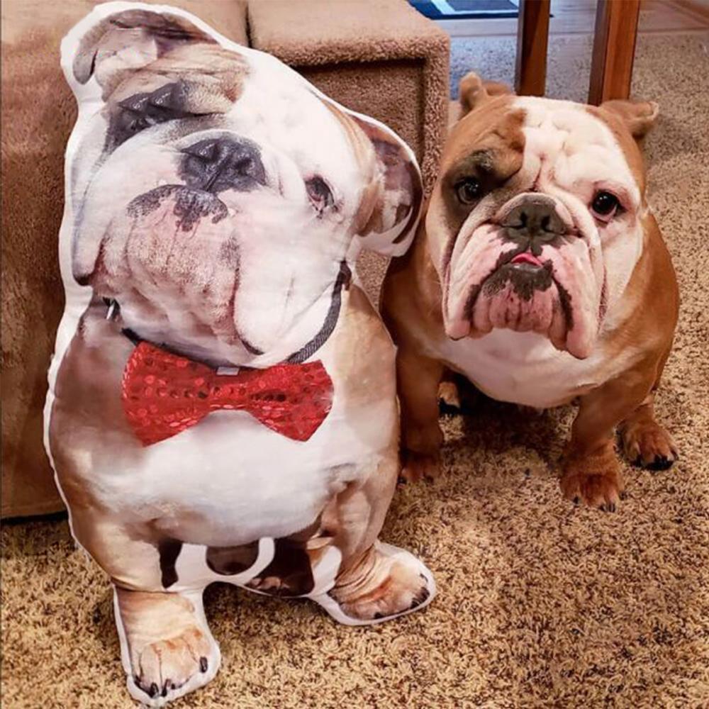 Personalised Funny Dog Pillow With Photo Custom 3D Pet Face Pillow For Your Pet - MyFaceTshirt