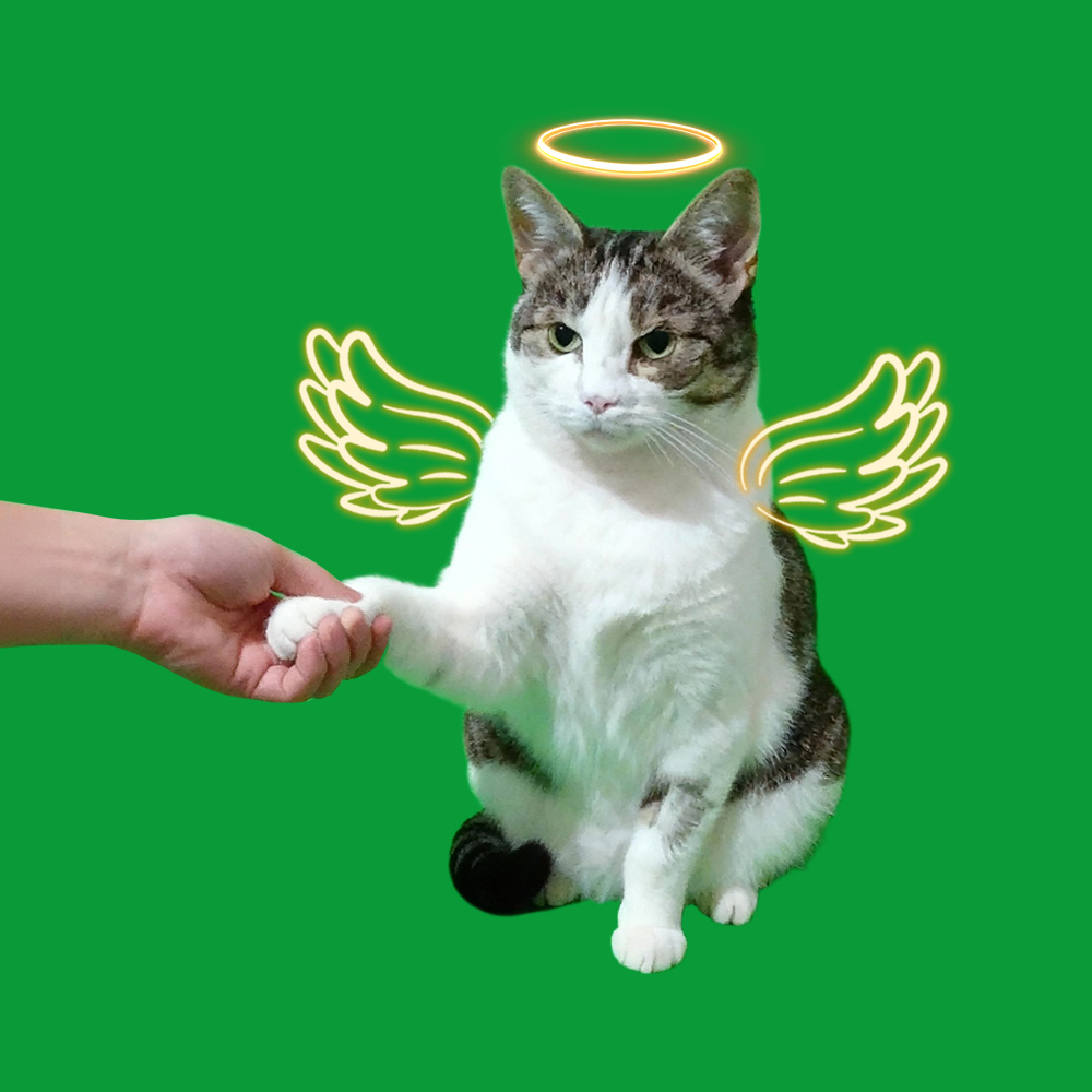 Halo Wings Shaking Hands Scenes - MyFaceTshirt