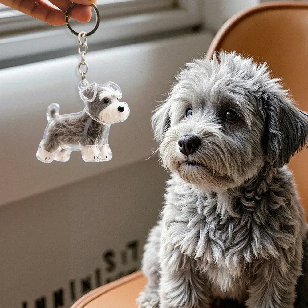 Your Dog's Love, Always With You