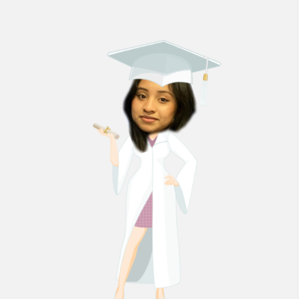 Graduation Gift for Her Custom Pillow Minime Pillow Graduate with White Bachelor Suit - MyFaceTshirt