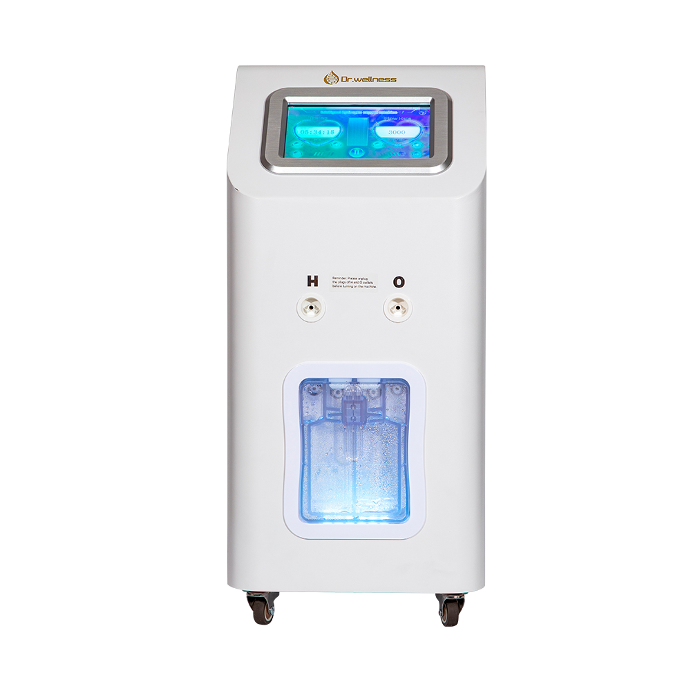 Hydrogen oxygen Inhalation browns gas inhaler machine Dr.wellness brand 3000ml flow rate adjustable