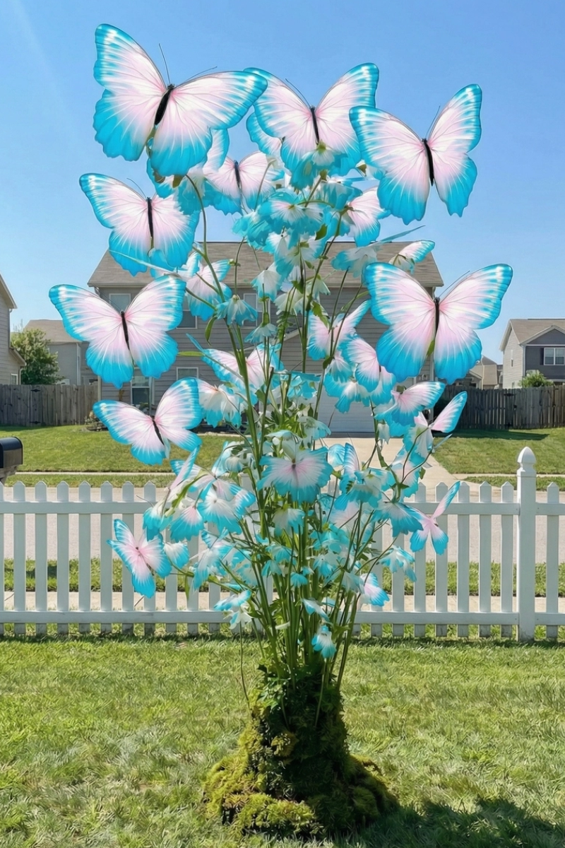 🦋Enchanting Giant Butterfly Flower – Fast Growing Garden DIY