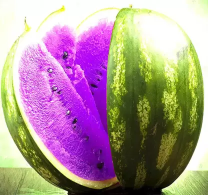 Purple Watermelon Seeds