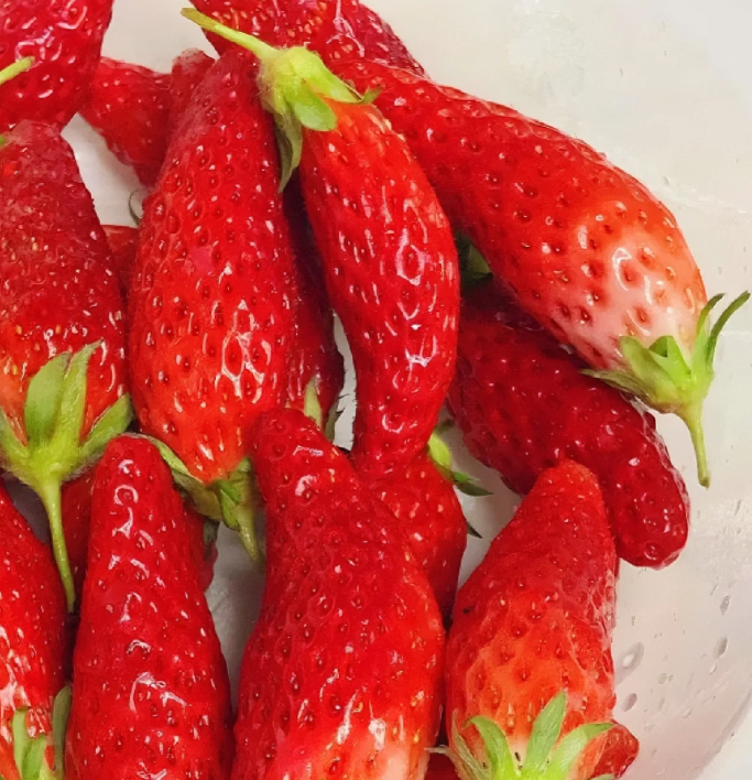 🎉54% OFF💥🔥Rare Chili Strawberry Fruits Seeds🍓🌶️