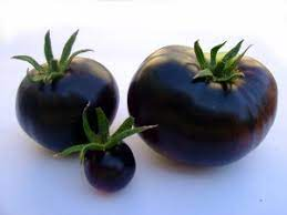 🎉Hot Sale 🍅🖤BLACK BEAUTY TOMATO SEEDS