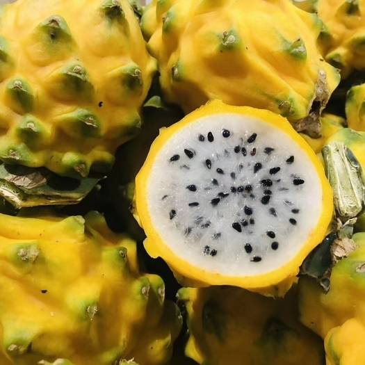 🎁59% OFF🥳Ecuador Rare Yellow Bird's Nest Fruit Seeds🦜