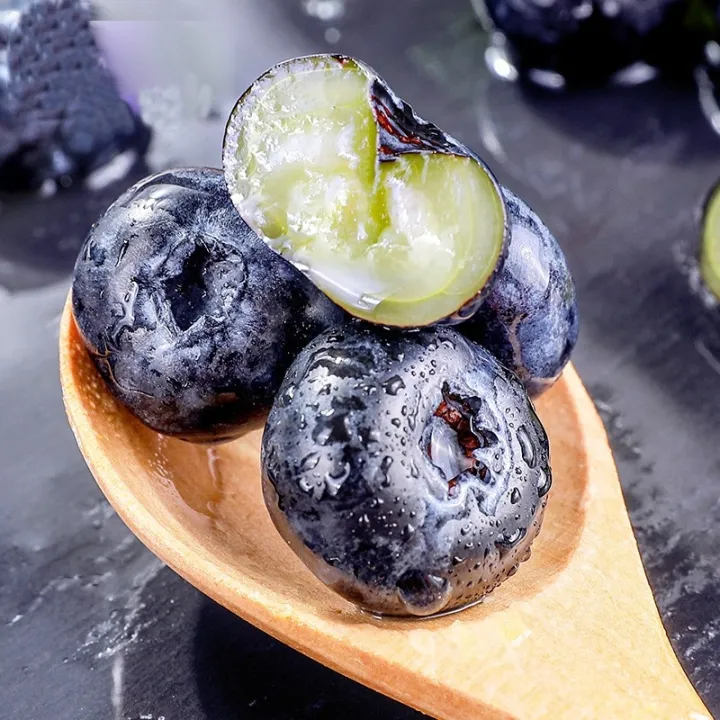 🫐Rare Giant Blueberry Seeds💙