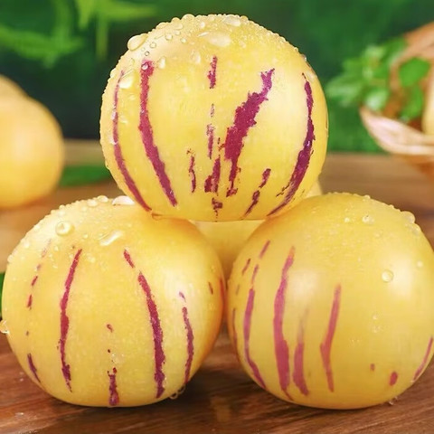 ✨The Fire Of Life-Ginseng Fruit Seeds🥭