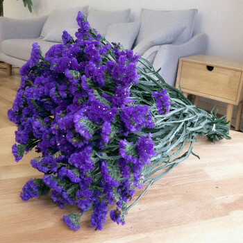 Forget-me-not Flower Seeds