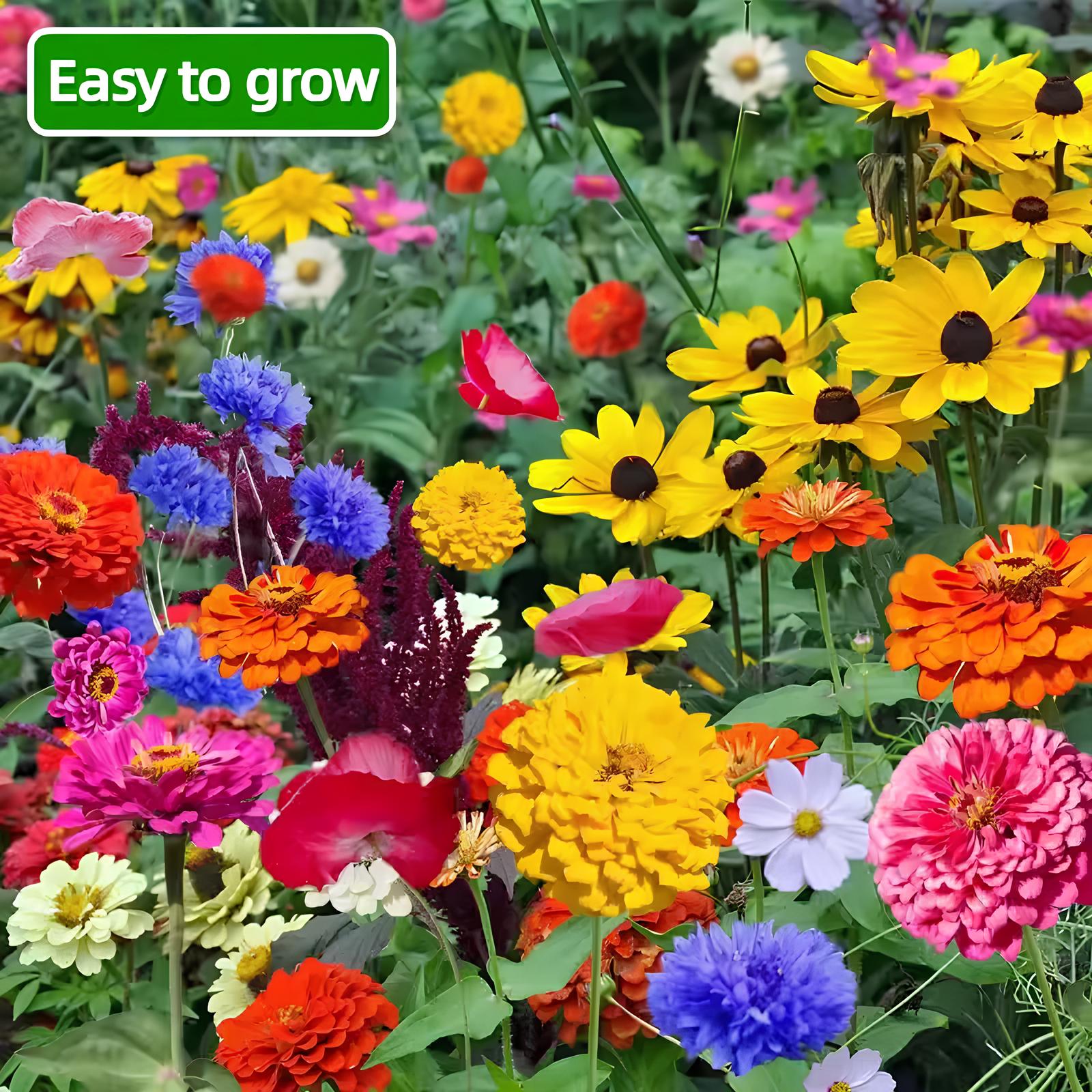 Perennial Wildflower Seeds Mix🌺🌊