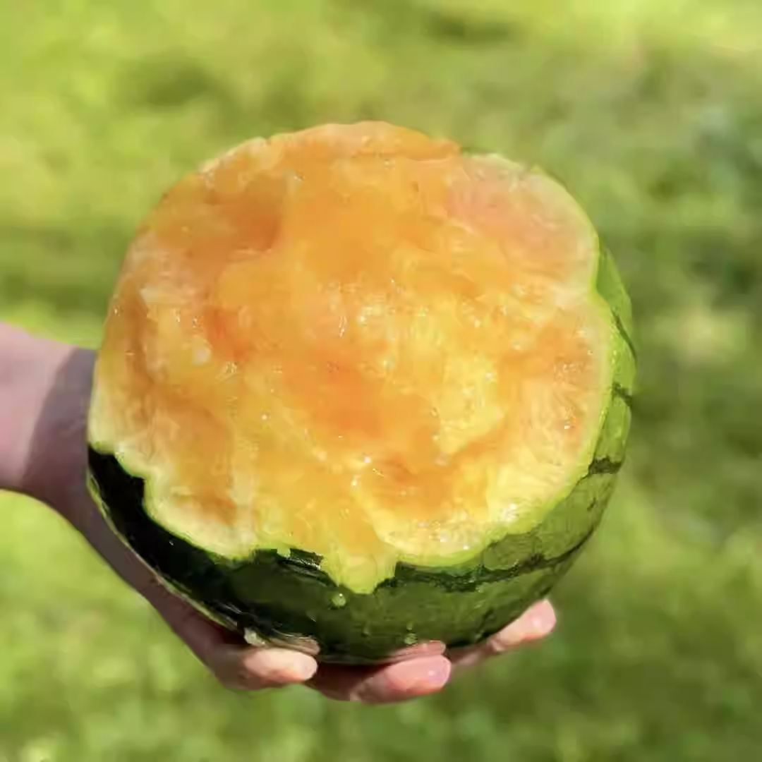 🍉Ice Cream Watermelon Seeds--Natural Sweet Bomb💥🍧