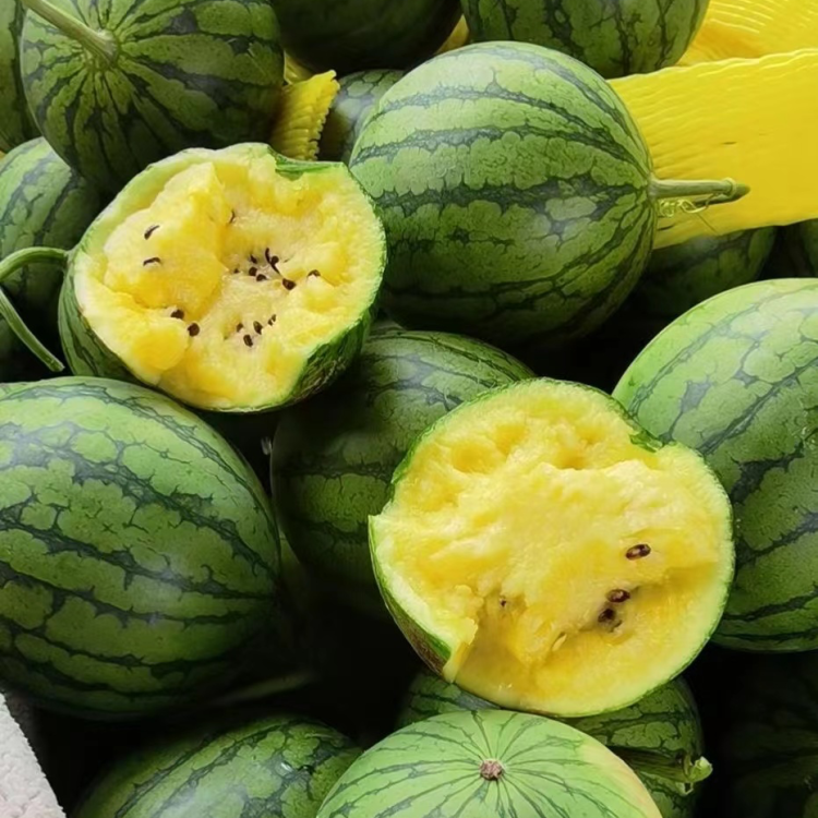 🍉Ice Cream Watermelon Seeds--Natural Sweet Bomb💥🍧