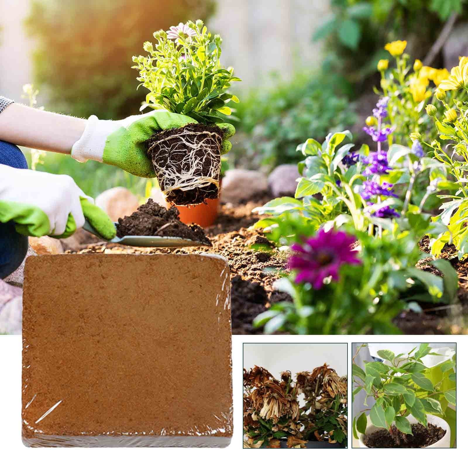 🪴 High Expansion Coconut Coir Fiber for Gardening