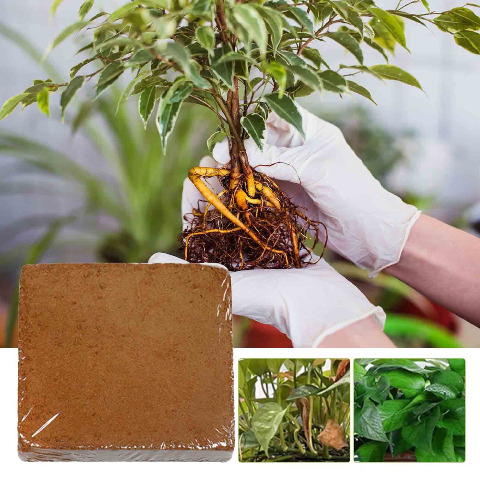 🪴 High Expansion Coconut Coir Fiber for Gardening