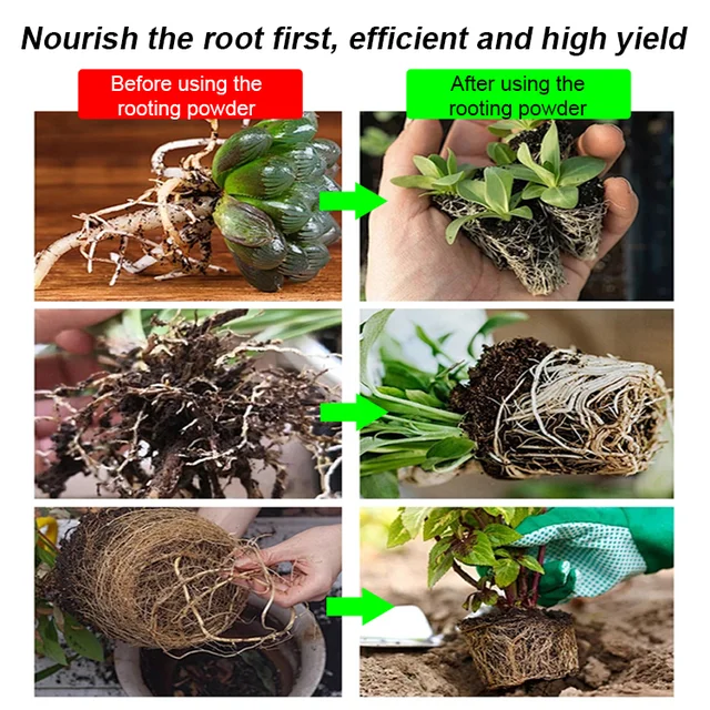 Plant Rooting Powder