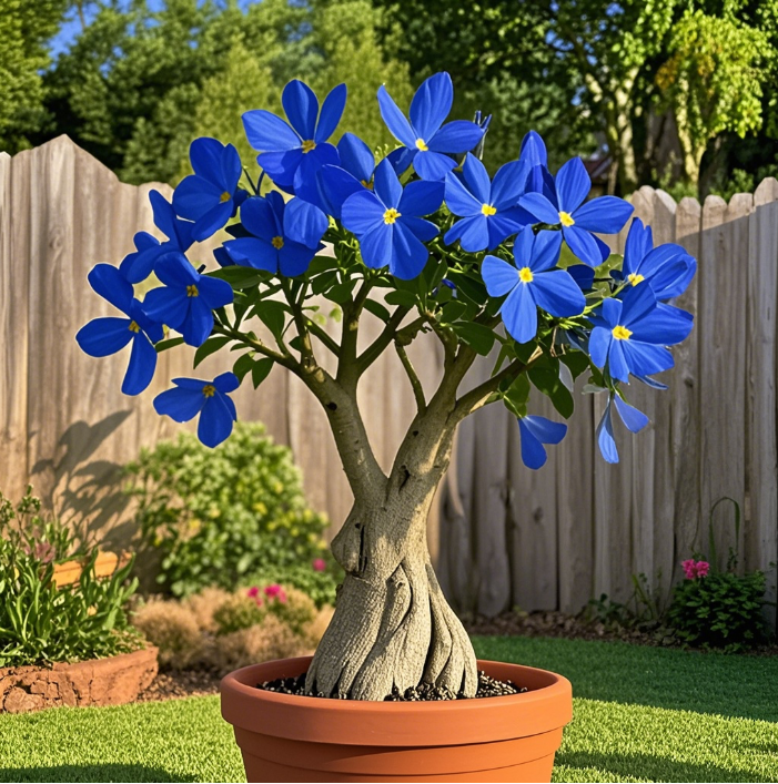 Mini Butterfly Flower Bonsai Tree🦋