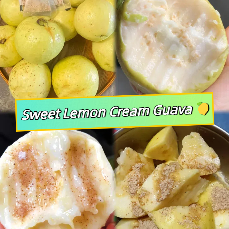 Sweet Lemon Cream Guava Seeds