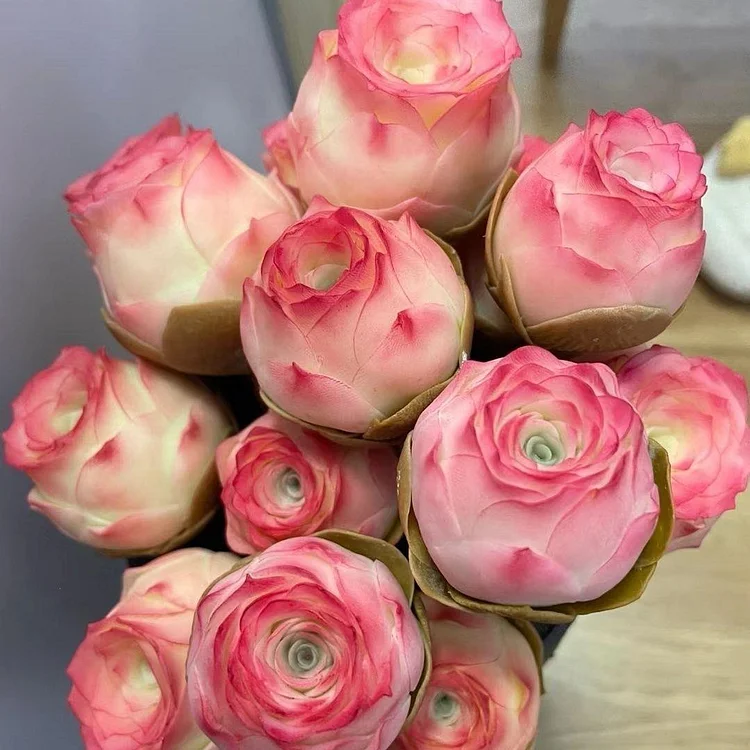 🌿 Mountain Succulent Rose Seeds – Rare Beauty for Your Garden! 🌿