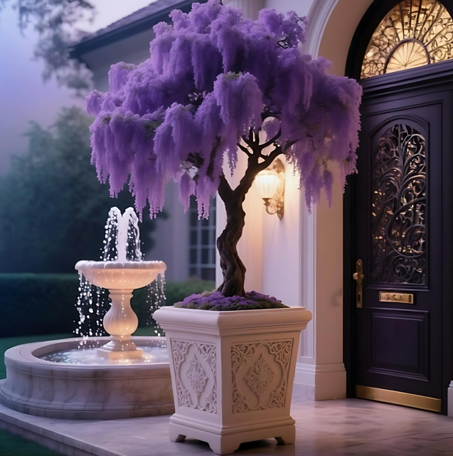 🌸 Fringe Tree Bonsai – A Whisper of Elegance in Miniature Form 🌸