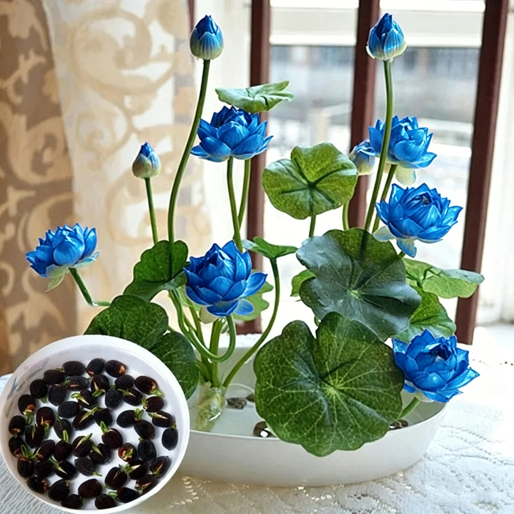 The Sacred Bonsai Lotus Flower🪷