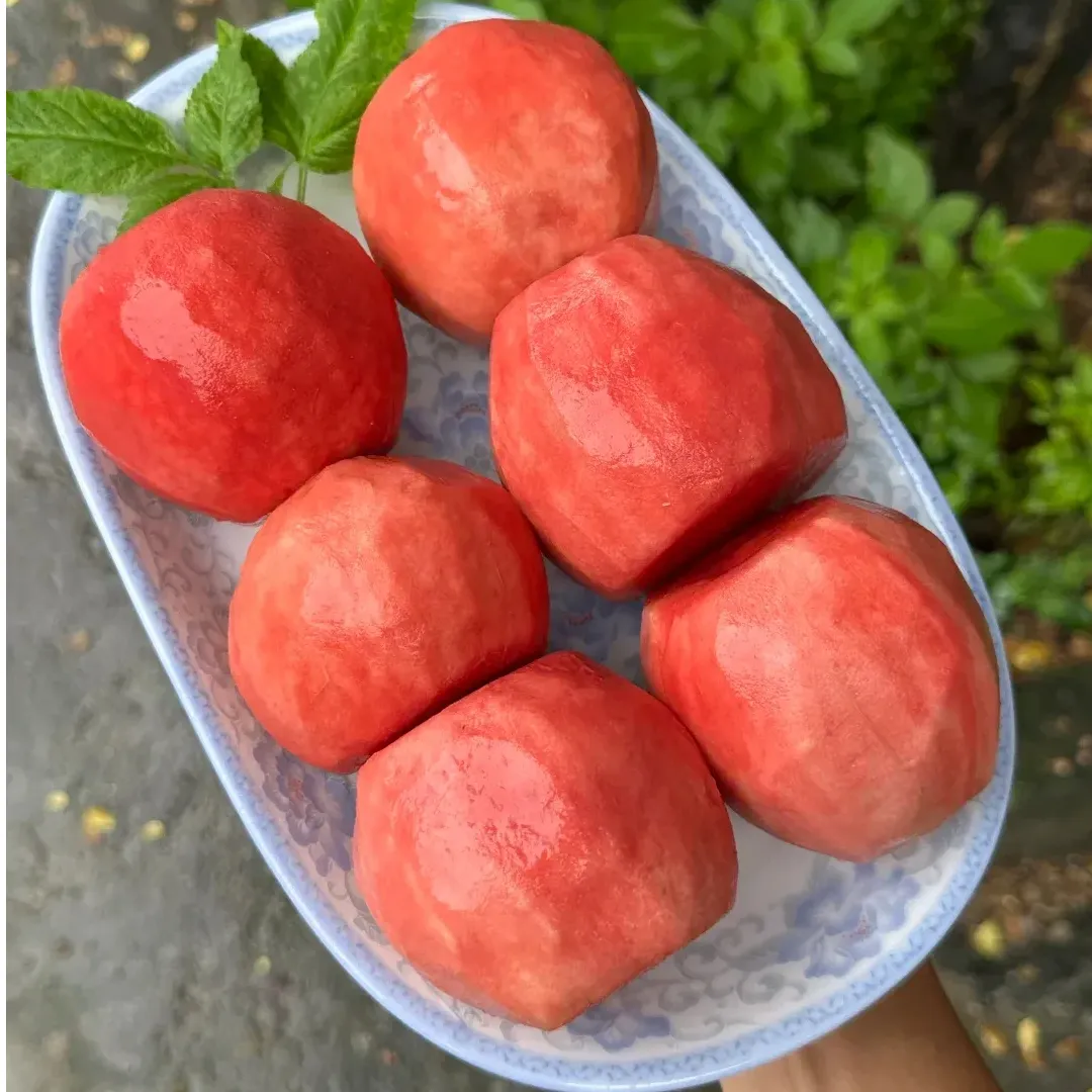 🥂Rouge Guava Home Growing Kit❄️