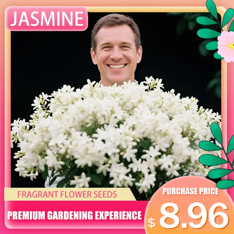 ✨Draping Silk Perfume Jasmine Seeds -- Queen of Shade Tolerant Flowers