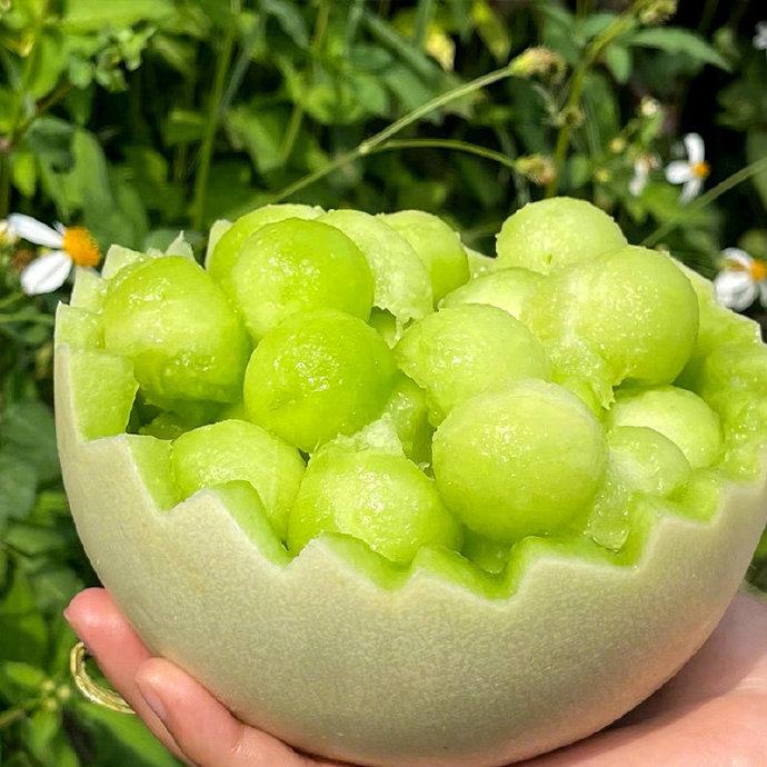 Snow Mass Honeydew Melon Seeds