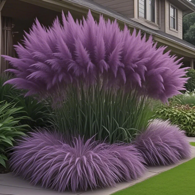 🌿2025 Latest Colorful Four Seasons Ornamental Muhly Grass