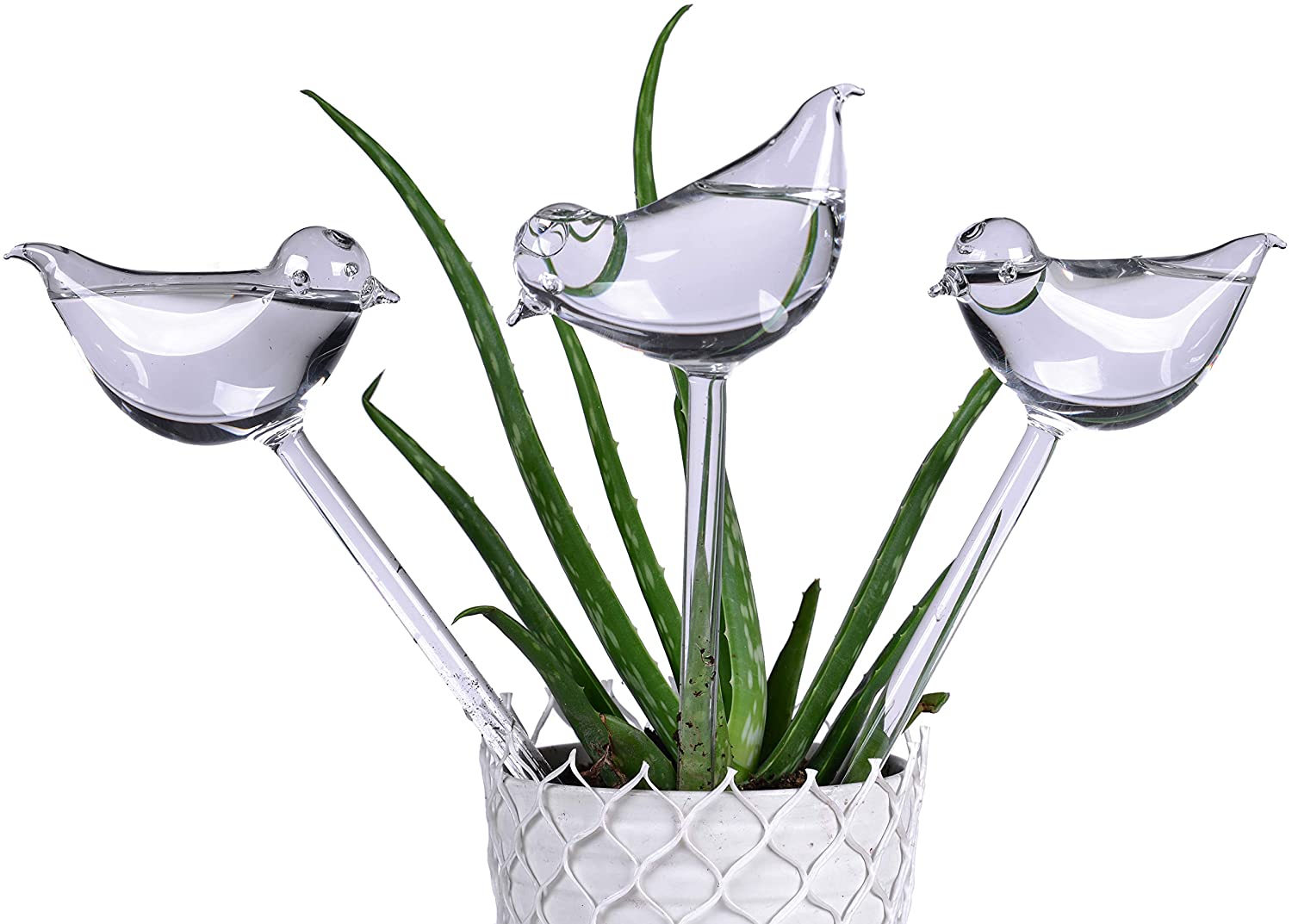 Bird Shape Design Hand Blown Transparent Durable Clear Glass Aqua Bulbs