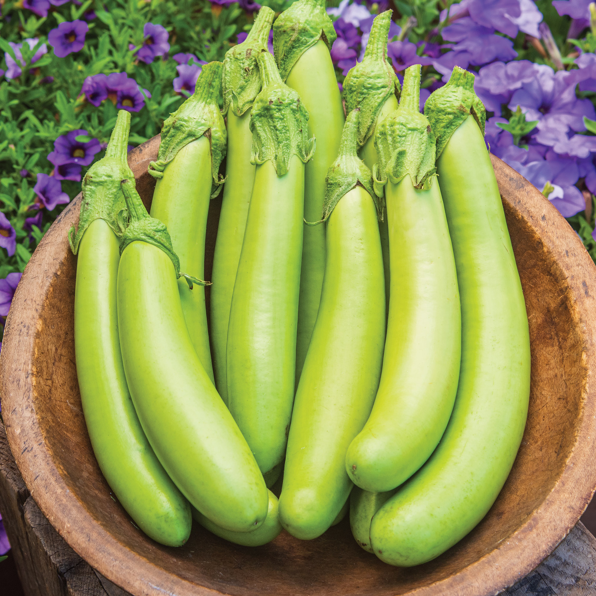 Burpee Green Knight Eggplant Vegetable Seed, 1-Pack - Walmart.com