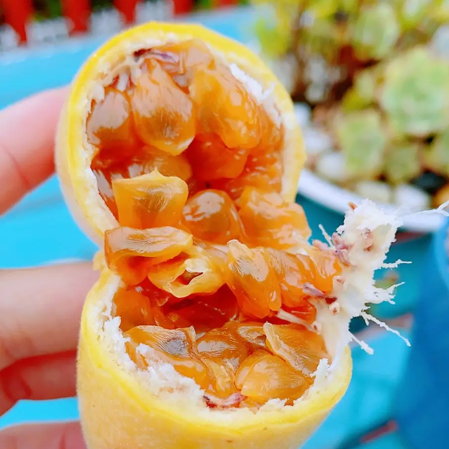 🎆Hot Sale🥂  Banana Passion fruit Seeds🍋 🍌