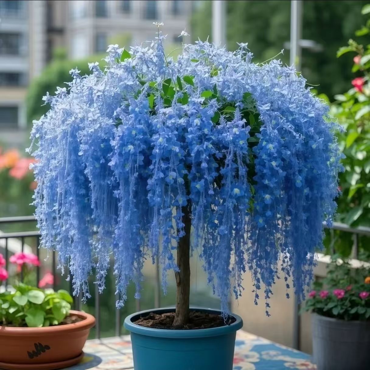 🌸All-Season Ornamental Fringe Tree Seeds for Pots