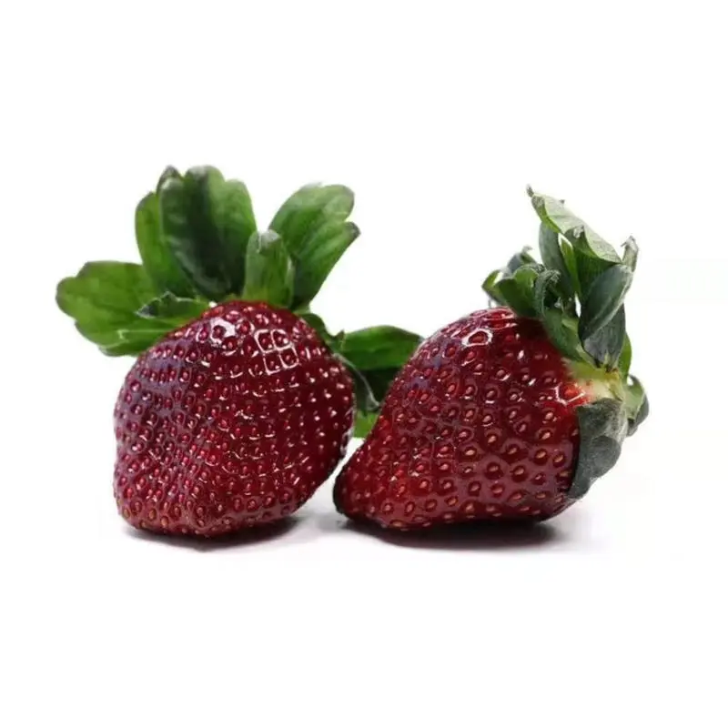 🥰New for Spring✨🍓Black Pearl Strawberry Seeds