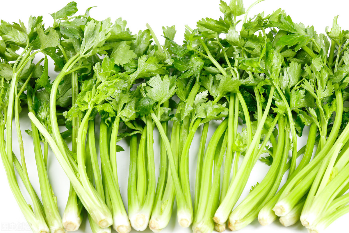 香芹、西芹营养差别大，炒肉适合用哪种？选对了才好吃_手机搜狐网