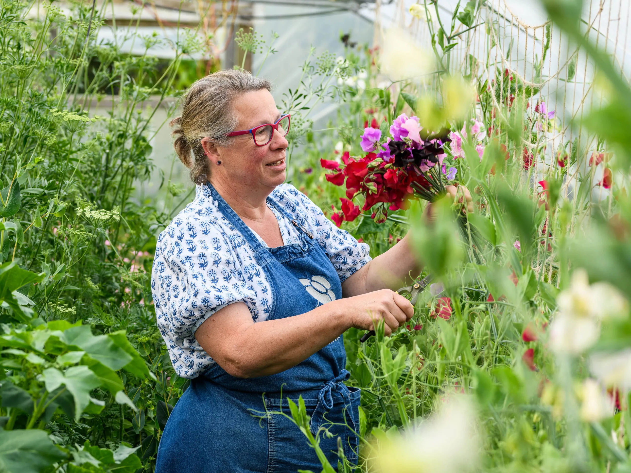 When to plant sweet peas for the best crop - Gardens Illustrated