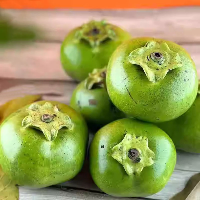 🎆Hot Sale🥂 Exotic Rare Fruit Tree  -Chocolate Pudding Fruit  Seeds🍫